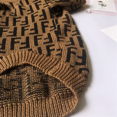 puppy fendi sweater